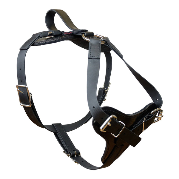 Get Leather Dog Tracking Harness