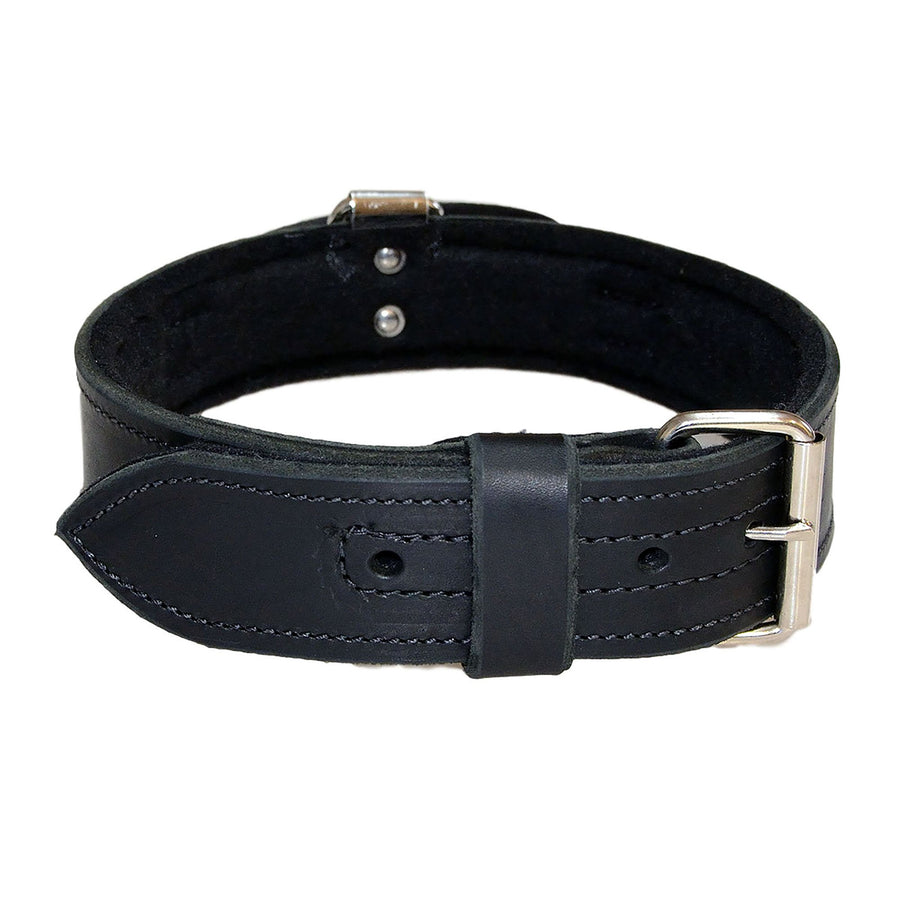 Leather Collar With Handle And Felt - 2