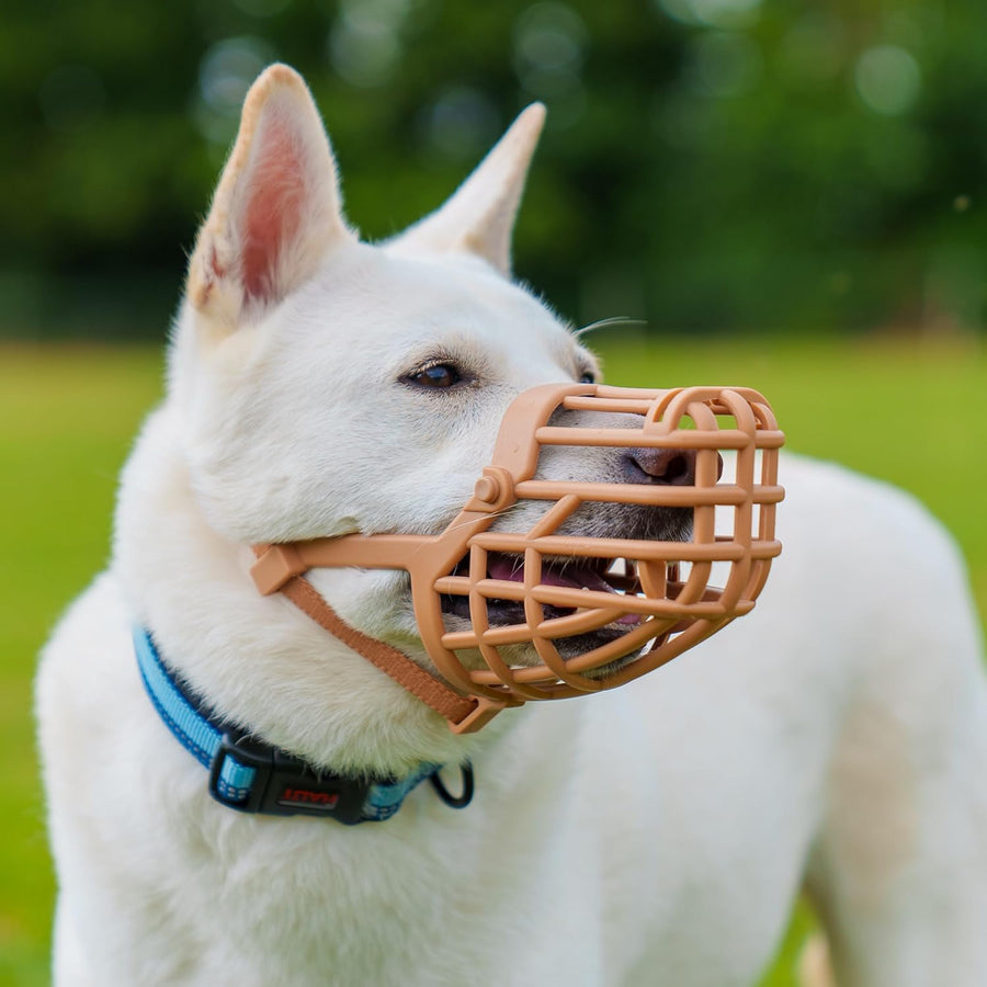 Baskerville Classic Basket Muzzle