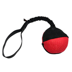bite_suit_reward_ball_bungee_h