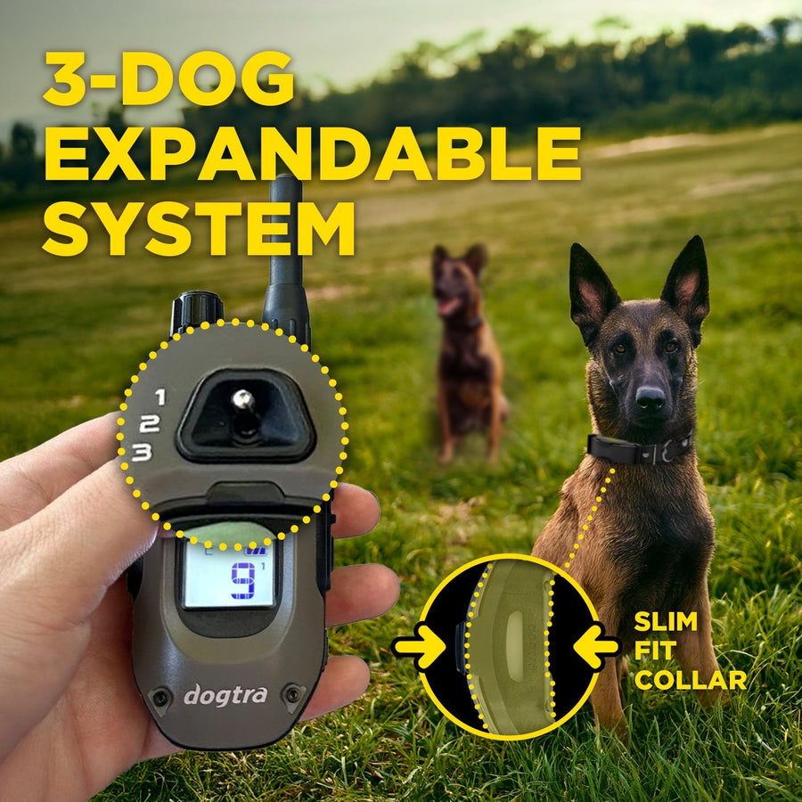 Dogtra ARC-X 1-Dog Unit – Redline K-9