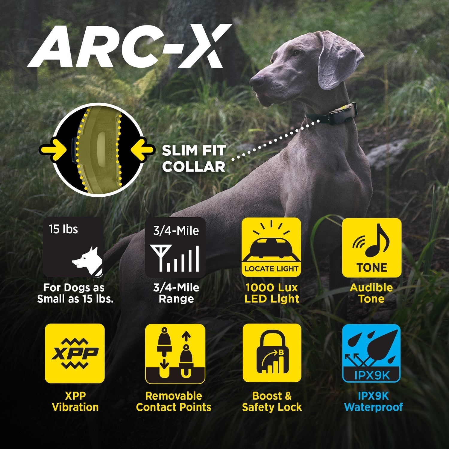 Dogtra ARC-X 1-Dog Unit – Redline K-9