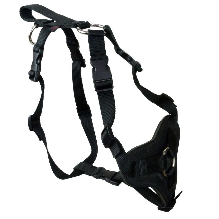 Nylon and Leather Harness