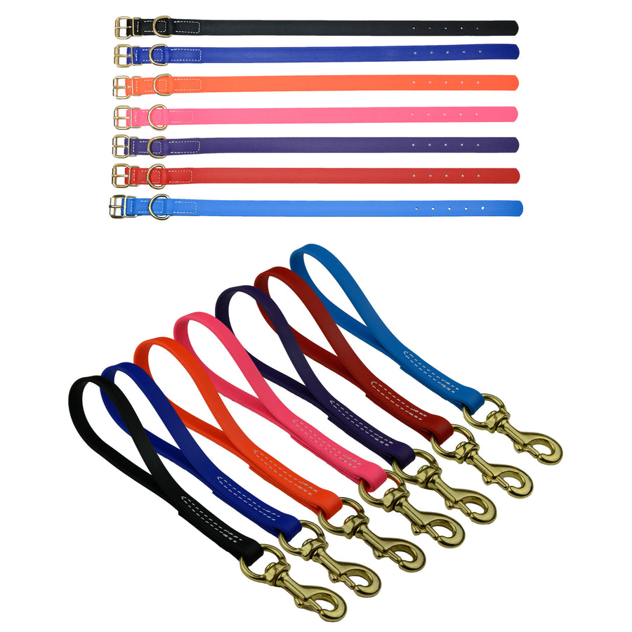 Matching Biothane Collar and Traffic Lead