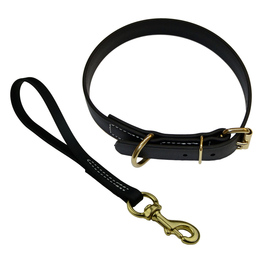 Matching Biothane Collar and Traffic Lead