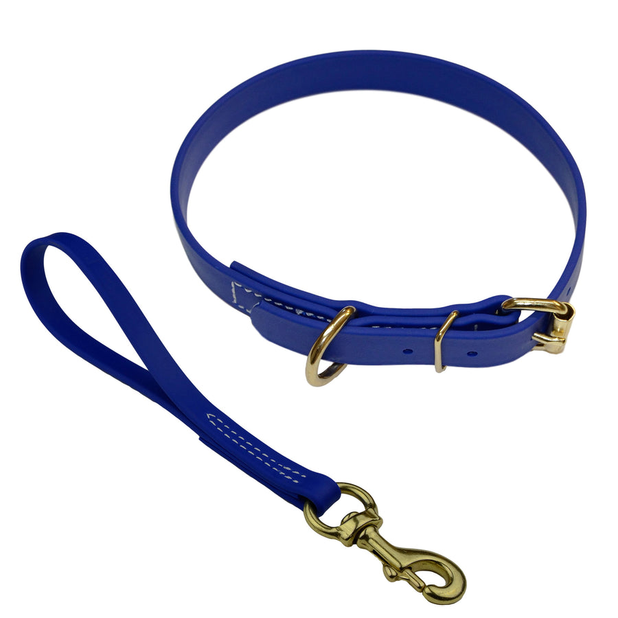 Matching Biothane Collar and Traffic Lead