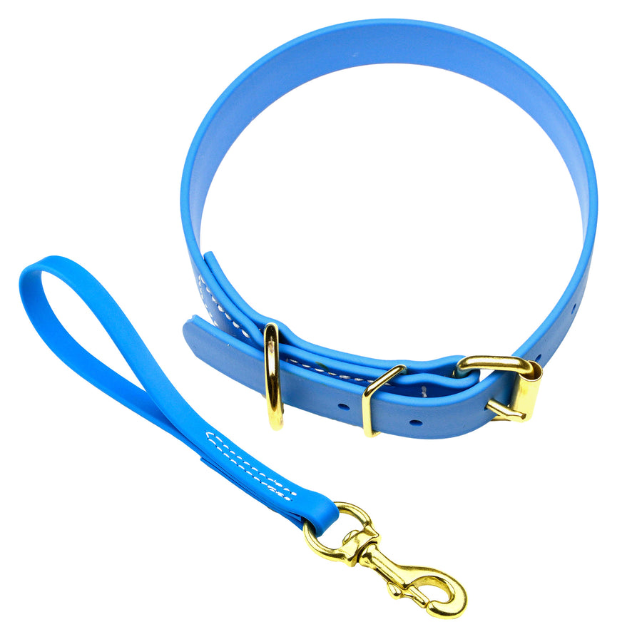 Matching Biothane Collar and Traffic Lead