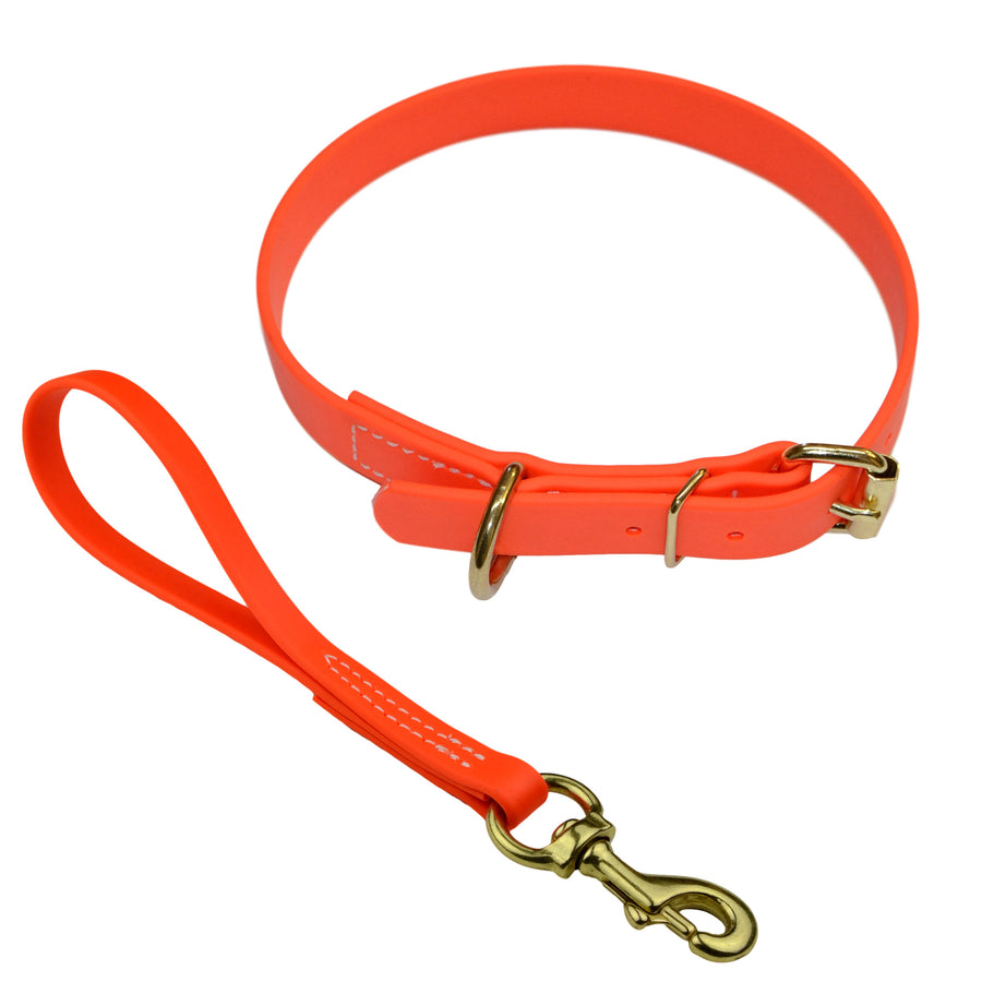 Matching Biothane Collar and Traffic Lead