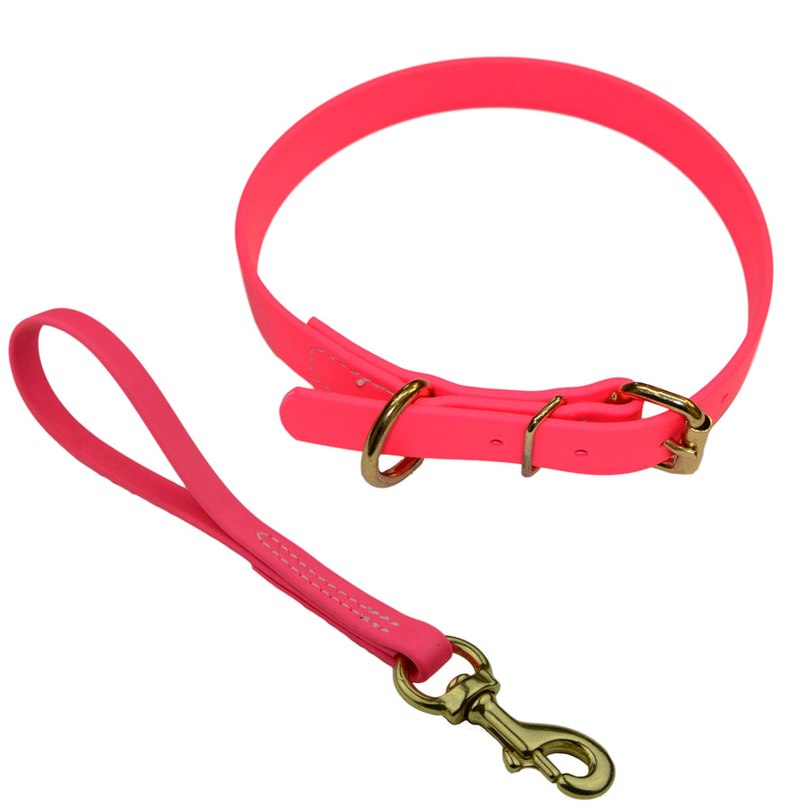 Matching Biothane Collar and Traffic Lead