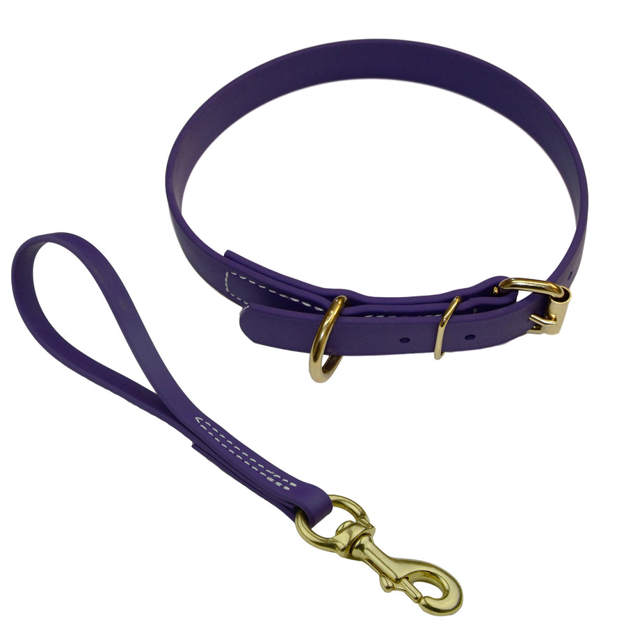 Matching Biothane Collar and Traffic Lead