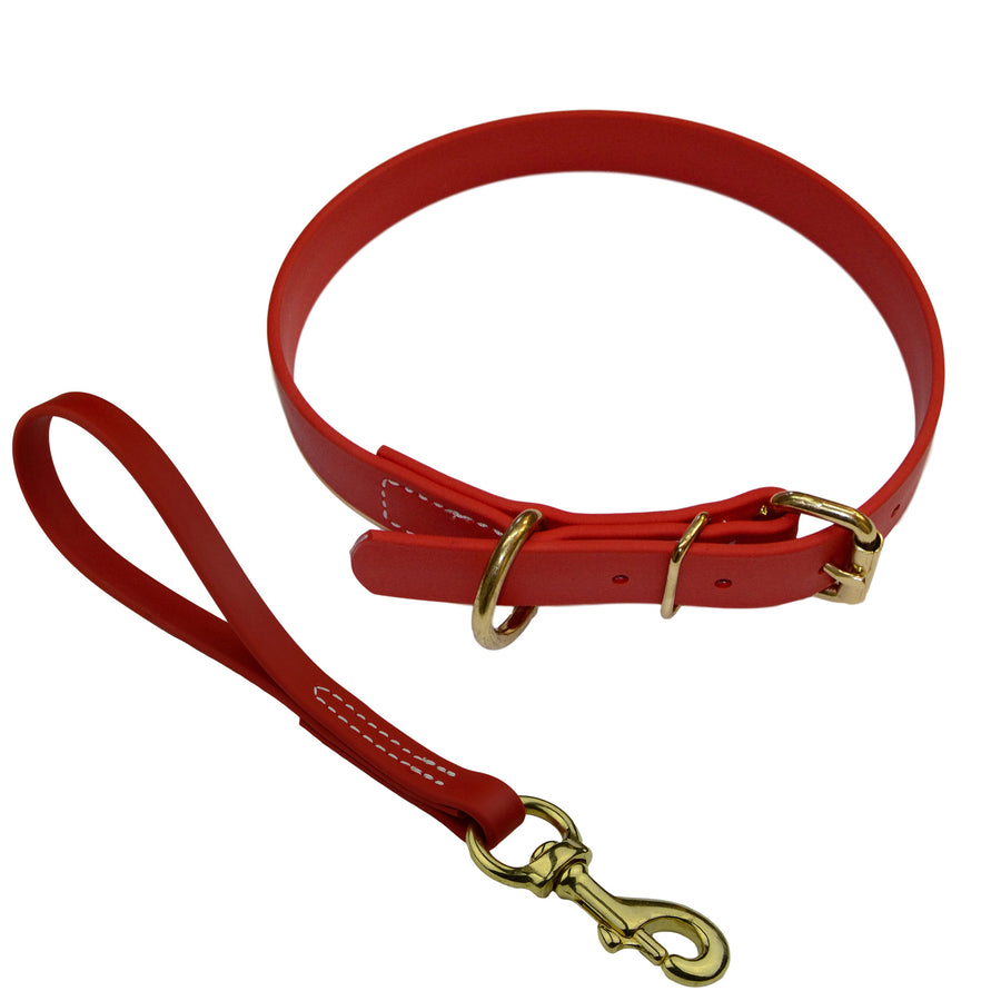 Matching Biothane Collar and Traffic Lead