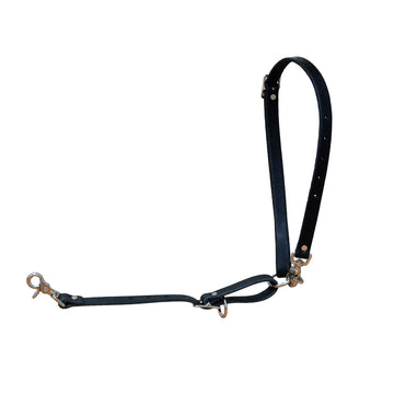 Bottcher Tracking Harness