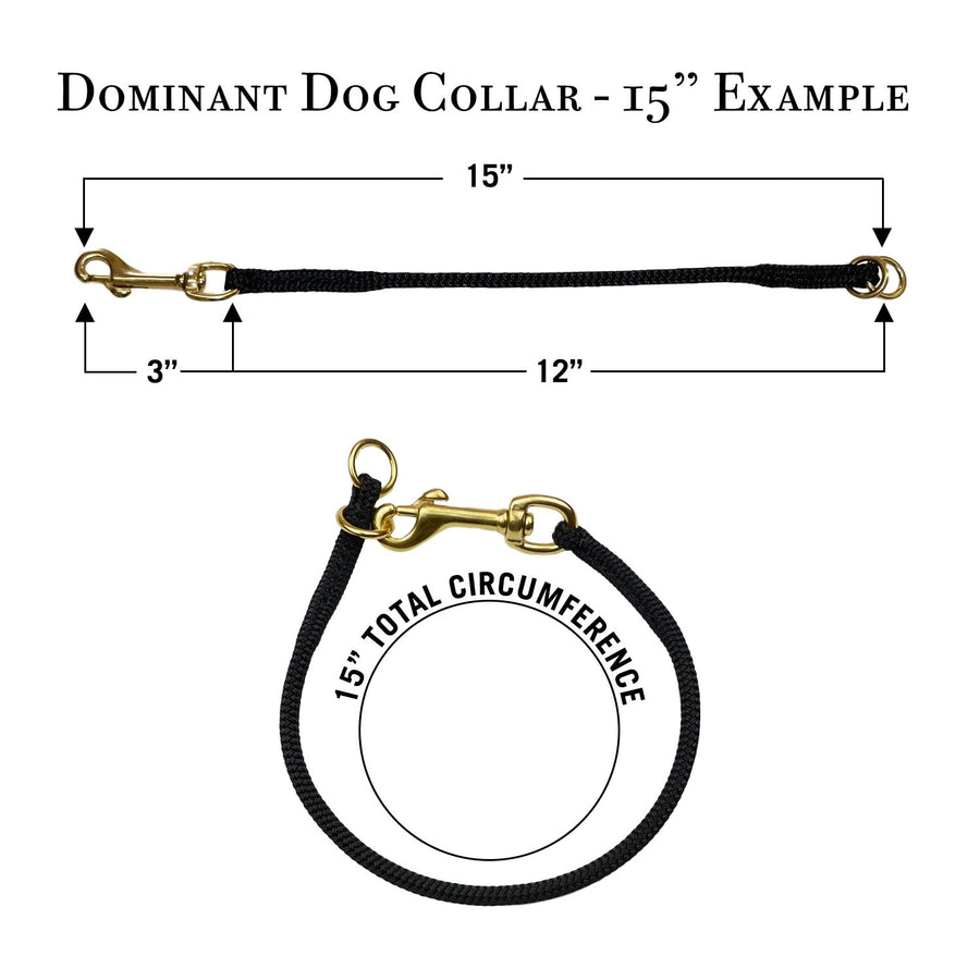 Dominant Dog Collar