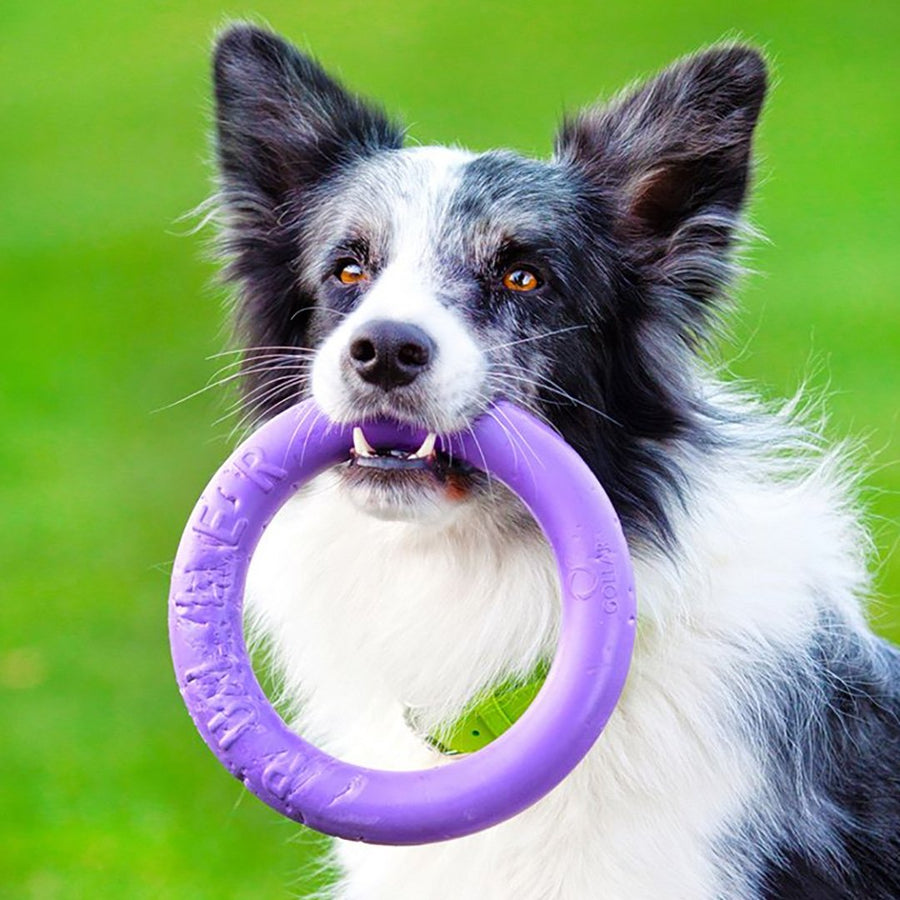 Puller Interactive Toy – Redline K-9 - Main Image