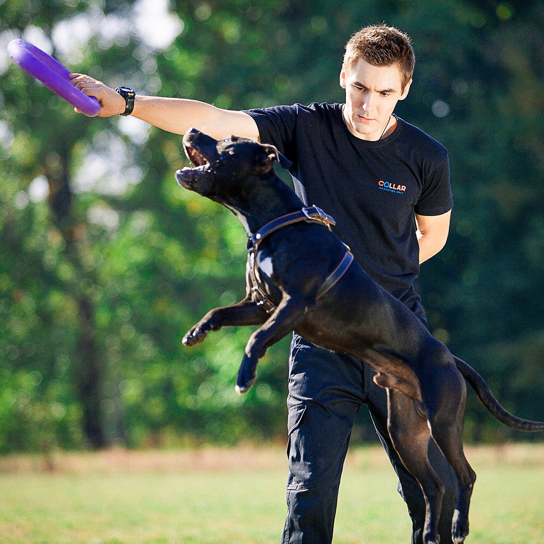 Puller Interactive Toy – Redline K-9